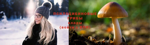 гидропоника Зеленодольск