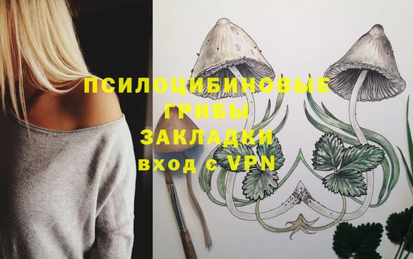 гидропоника Зеленодольск