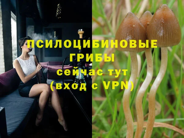 гашишное масло Зеленокумск