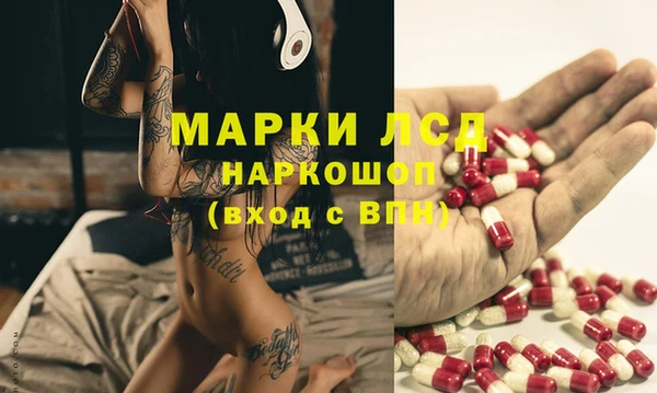 трава Зерноград
