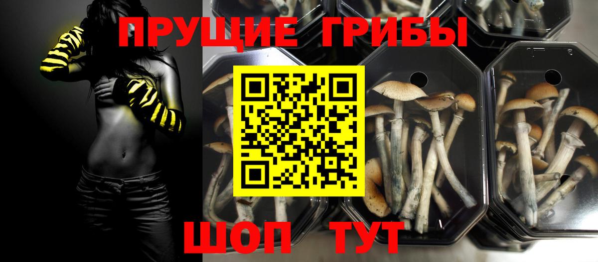 Галлюциногенные грибы Magic Shrooms Верхняя Салда