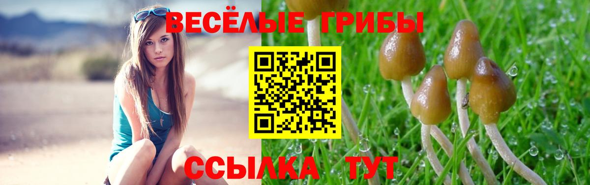 Галлюциногенные грибы GOLDEN TEACHER  Псилоцибиновые грибы Psilocybe  Верхняя Салда  Вход с VPN 